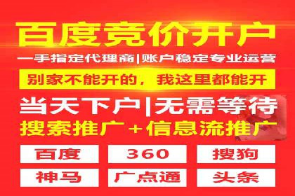 SEM竞价广告的智能优化：成功案例解读